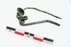 Foto von Bronzeschlangenfibel (NHMW-PRAE-025942)